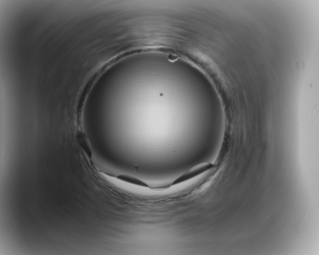 X0000088371457200706051033