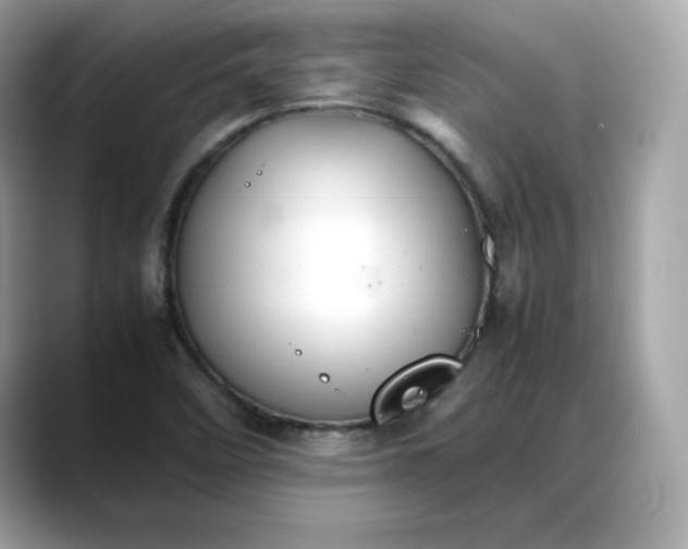 X0000088371458200706051033