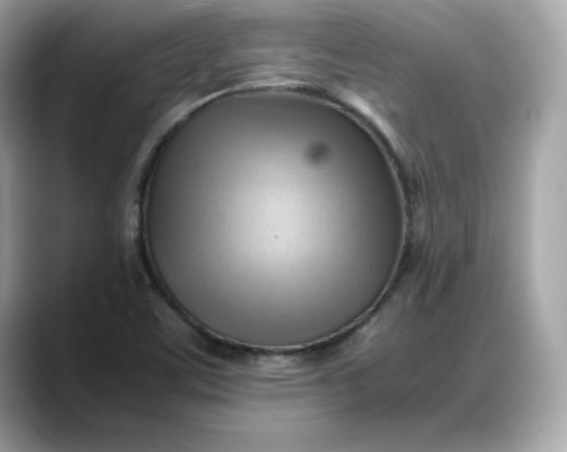 X0000088371459200706051033