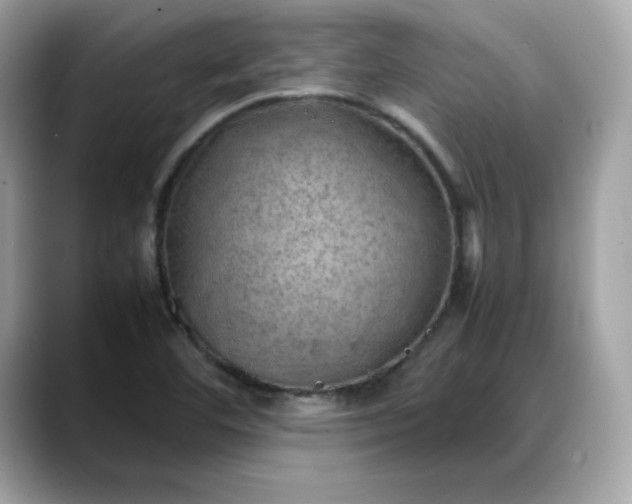 X0000088371460200706051033