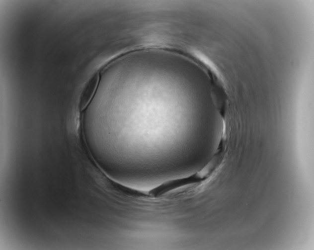 X0000088371461200706051033