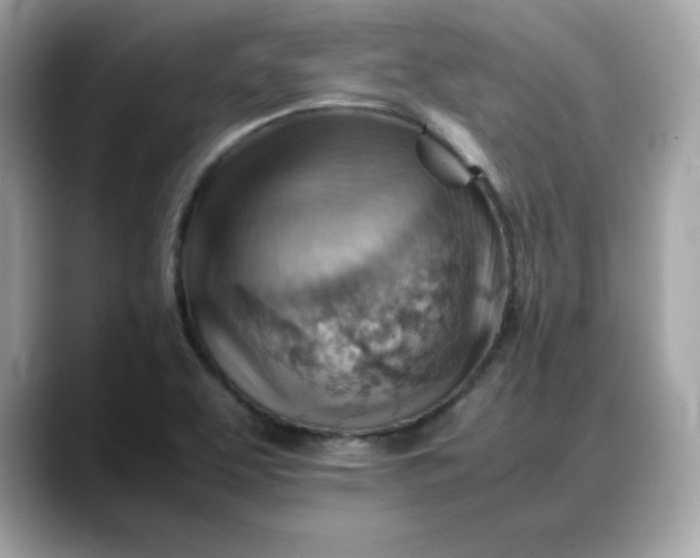 X0000088371463200706051033