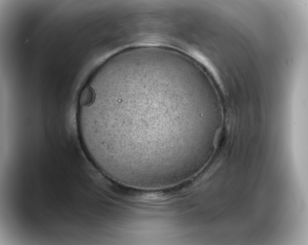 X0000088371464200706051033