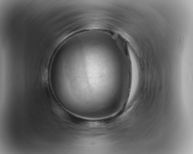 X0000088371465200706051033