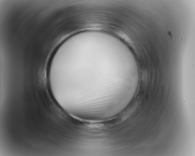 X0000088371466200706051032