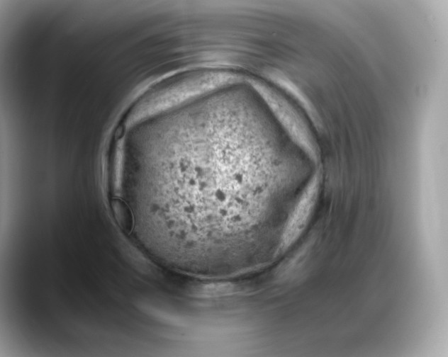 X0000088371467200706051032