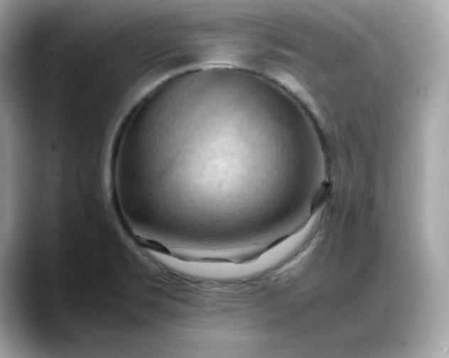 X0000088371469200706051032