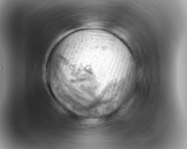 X0000088371470200706051032