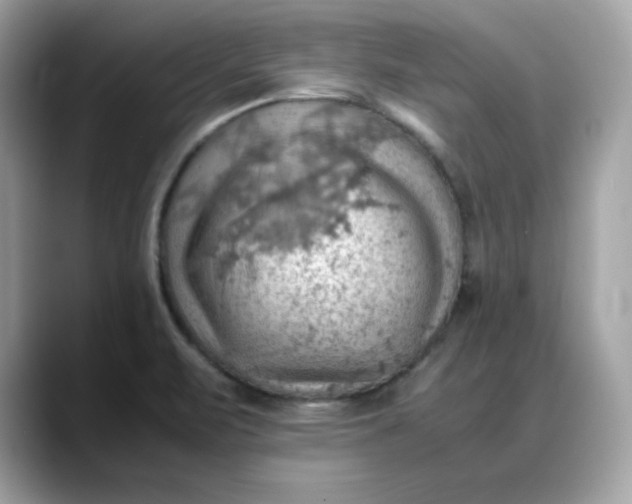 X0000088371471200706051032