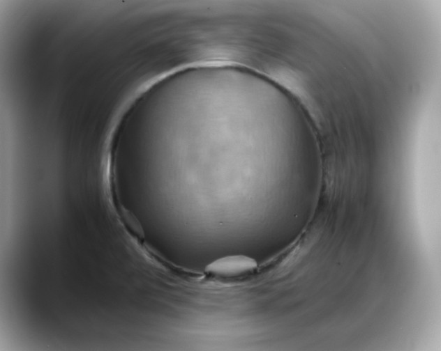X0000088371472200706051032