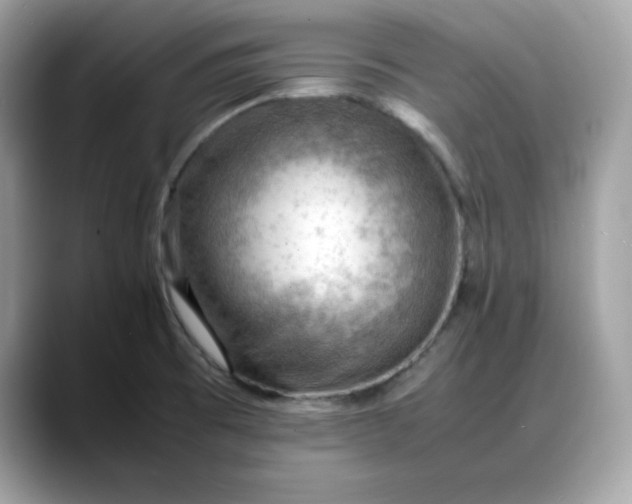 X0000088371473200706051032