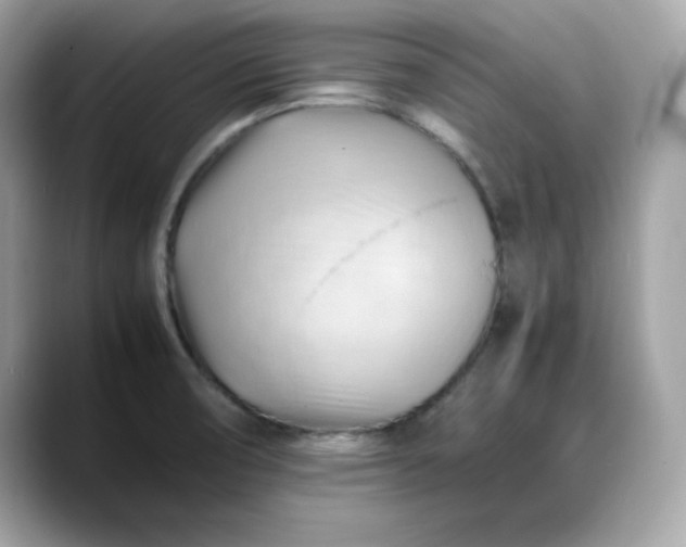 X0000088371474200706051032