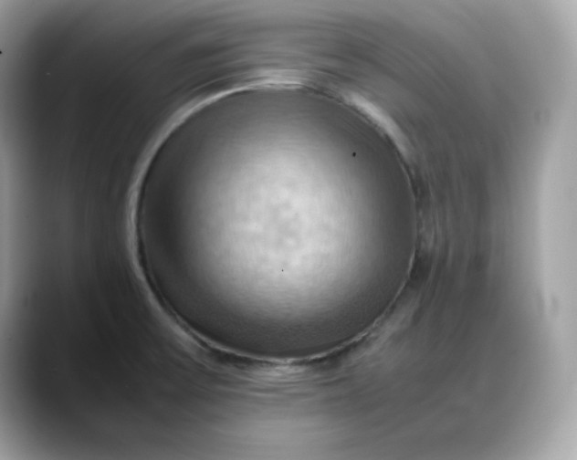 X0000088371475200706051032