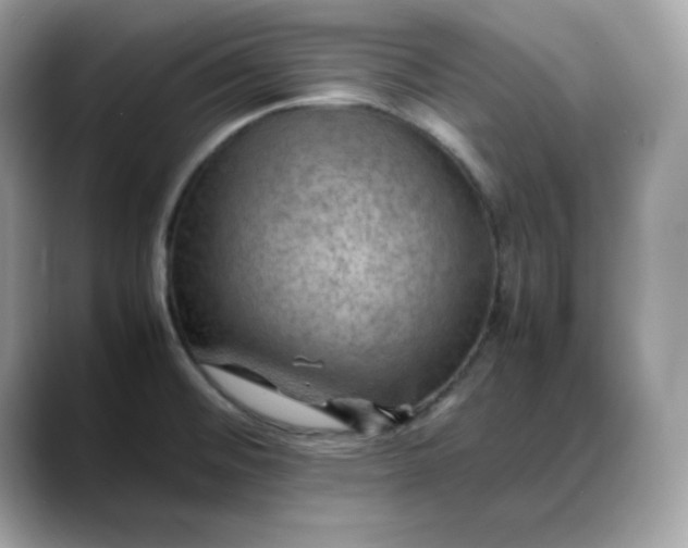 X0000088371476200706051032