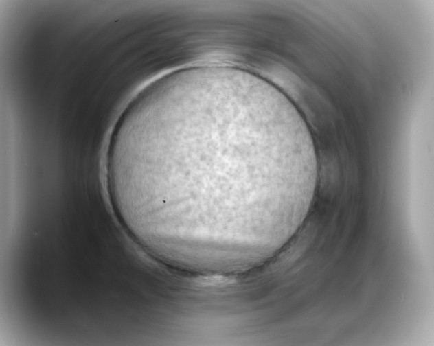X0000088371478200706051032