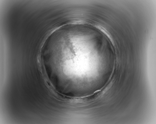 X0000088371481200706051032