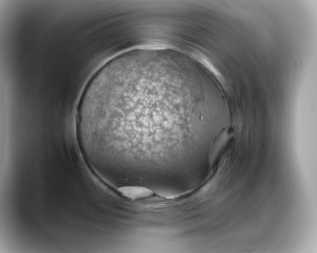 X0000088371484200706051032