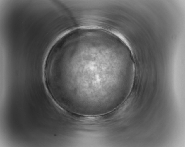 X0000088371485200706051032