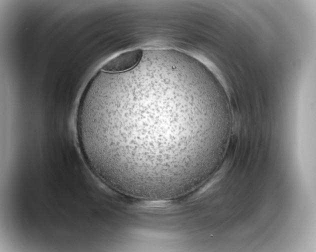 X0000088371486200706051032