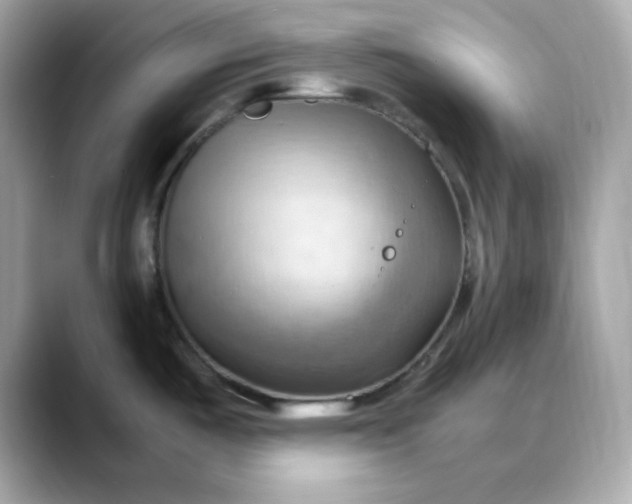X0000088371487200706051032