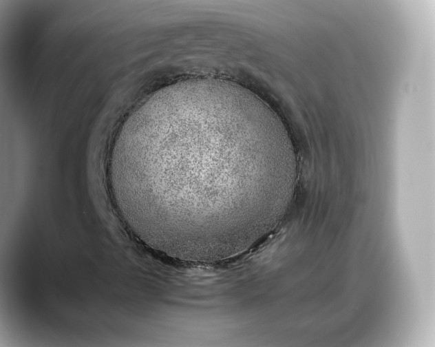 X0000088371489200706051032