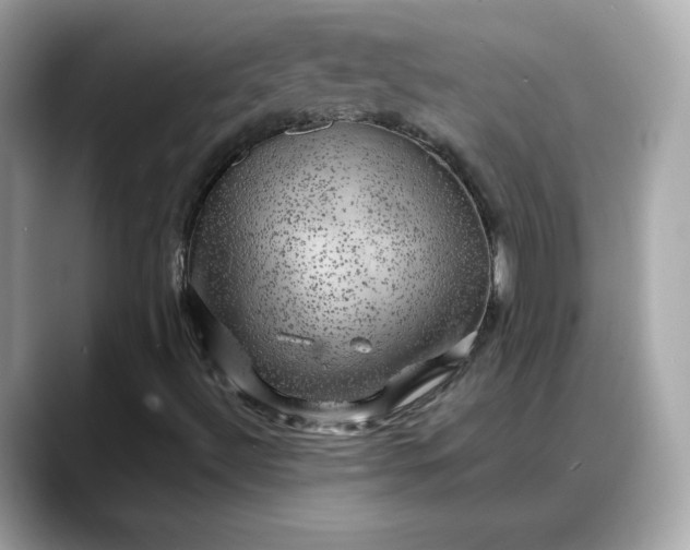 X0000088371492200706051032