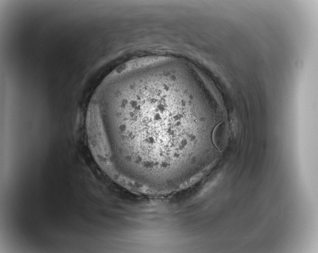 X0000088371494200706051032