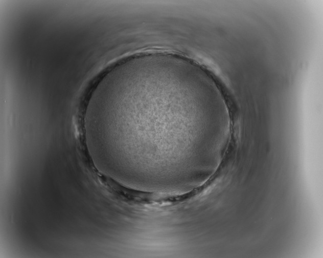 X0000088371496200706051032