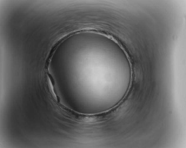 X0000088371497200706051032
