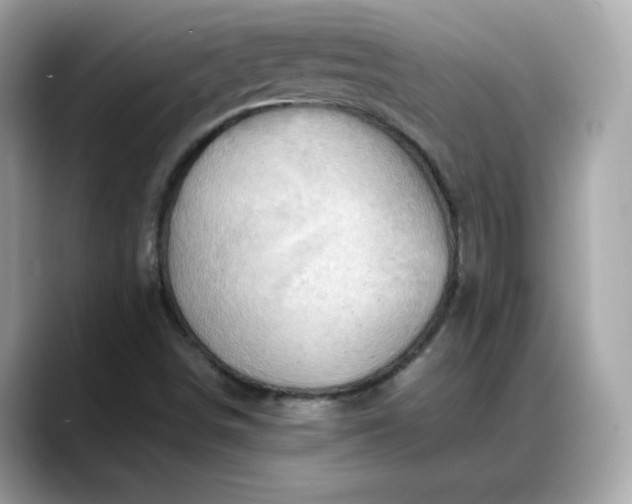 X0000088371498200706051032