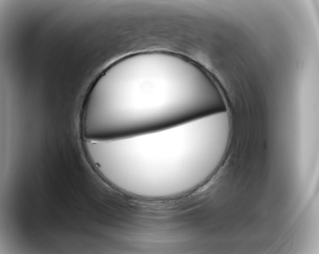 X0000088371500200706051032