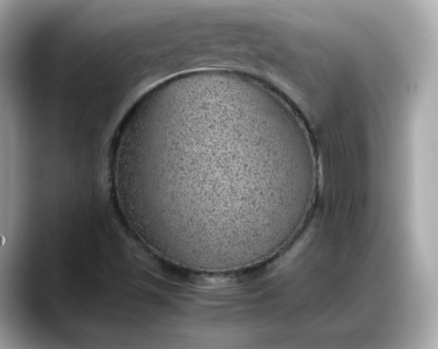 X0000088371501200706051032