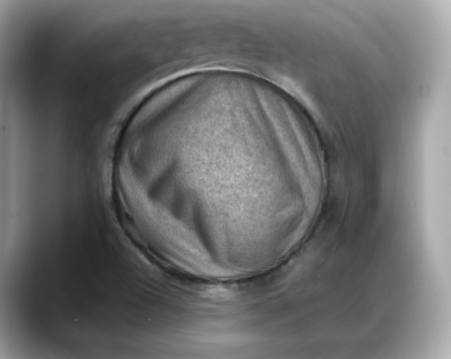 X0000088371504200706051032