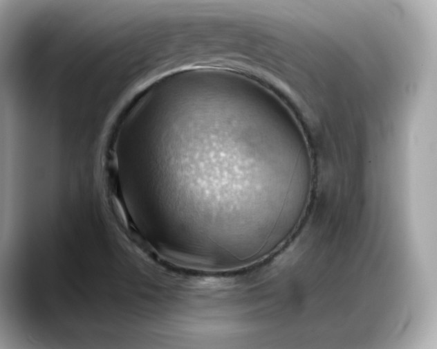 X0000088371506200706051032