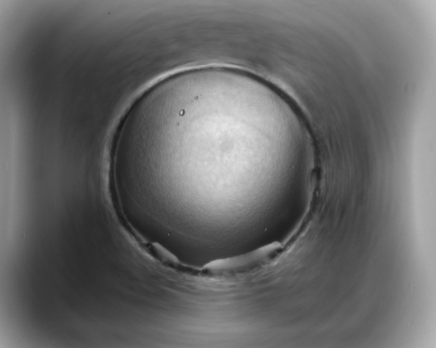 X0000088371508200706051032