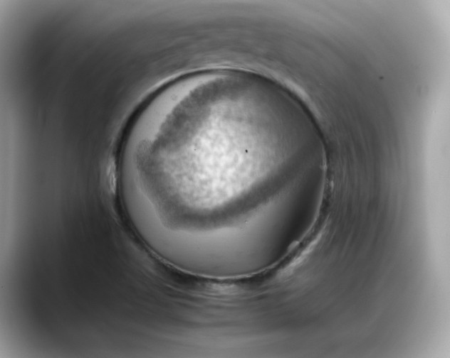 X0000088371509200706051032