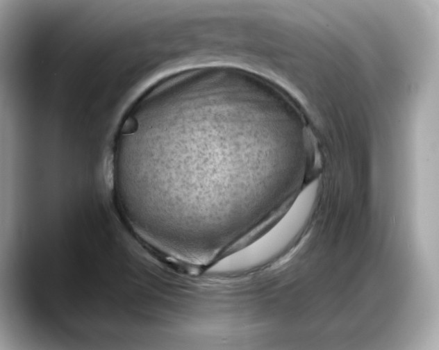 X0000088371510200706051032