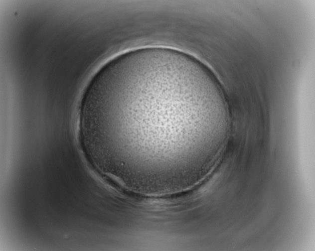 X0000088371511200706051032
