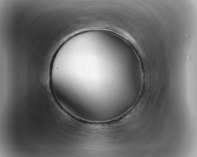 X0000088371512200706051032