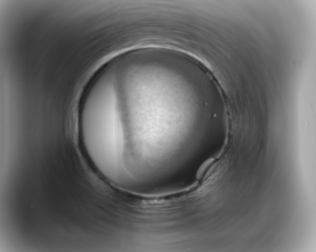 X0000088371515200706051032