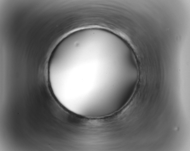 X0000088371516200706051032