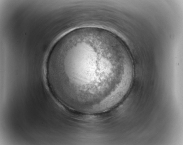 X0000088371517200706051032