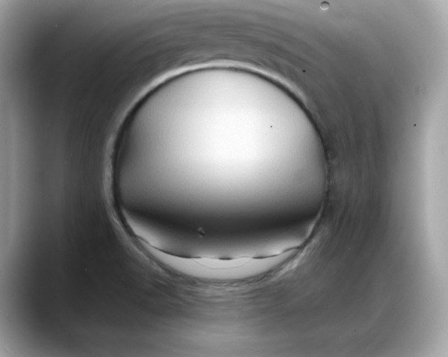 X0000088371518200706051032