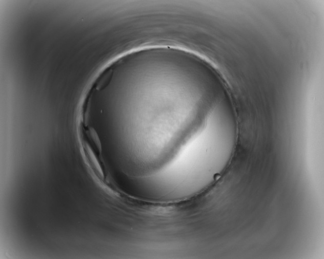X0000088371519200706051032