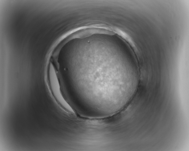 X0000088371520200706051032