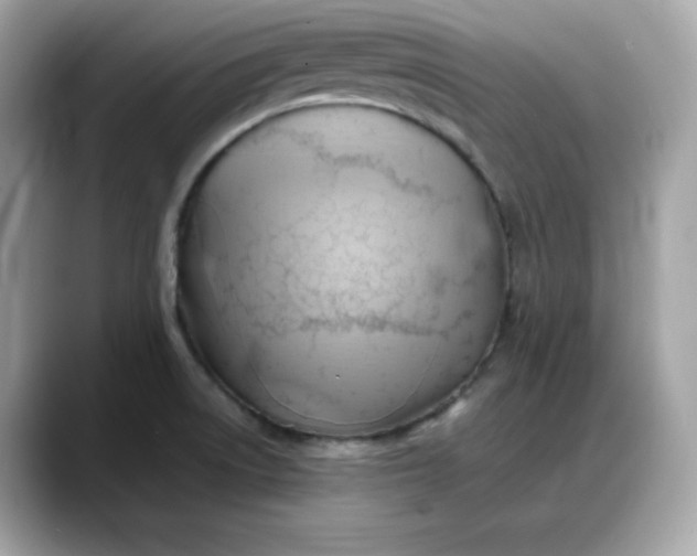 X0000088371522200706051032