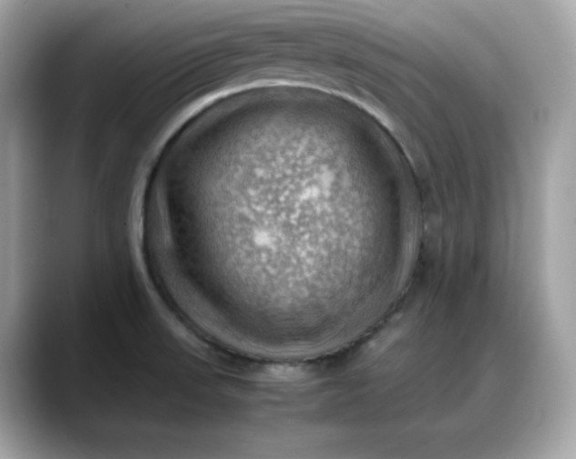 X0000088371523200706051032