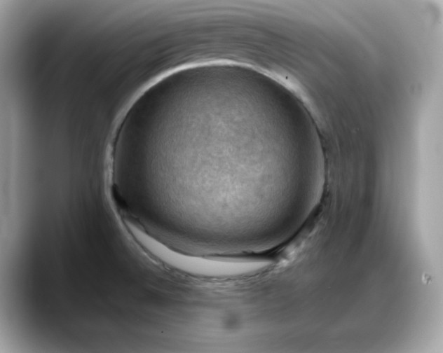 X0000088371524200706051032
