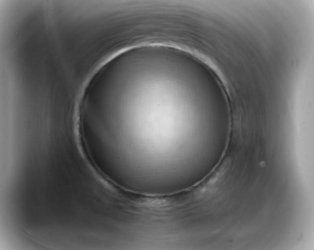 X0000088371525200706051032