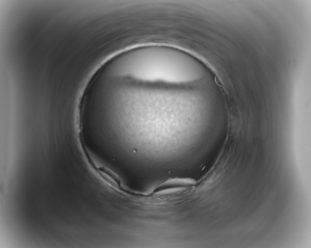 X0000088371527200706051032